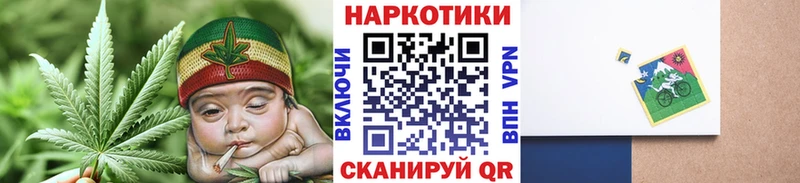 Как найти закладки Медынь КОКАИН  Меф мяу мяу  Псилоцибиновые грибы  КЕТАМИН  МДМА  ГАШ  МАРИХУАНА 