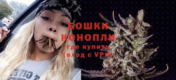 гидра Алексеевка