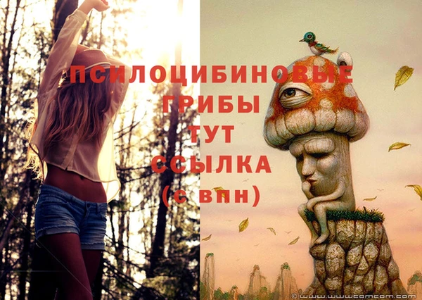 марки lsd Алексин