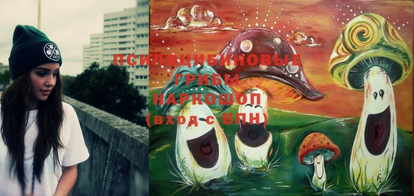 скорость Пересвет