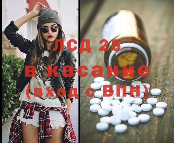 шишки Алзамай